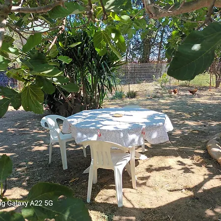 Country house Mas San Salvador Bompas (Pyrenees-Orientales)